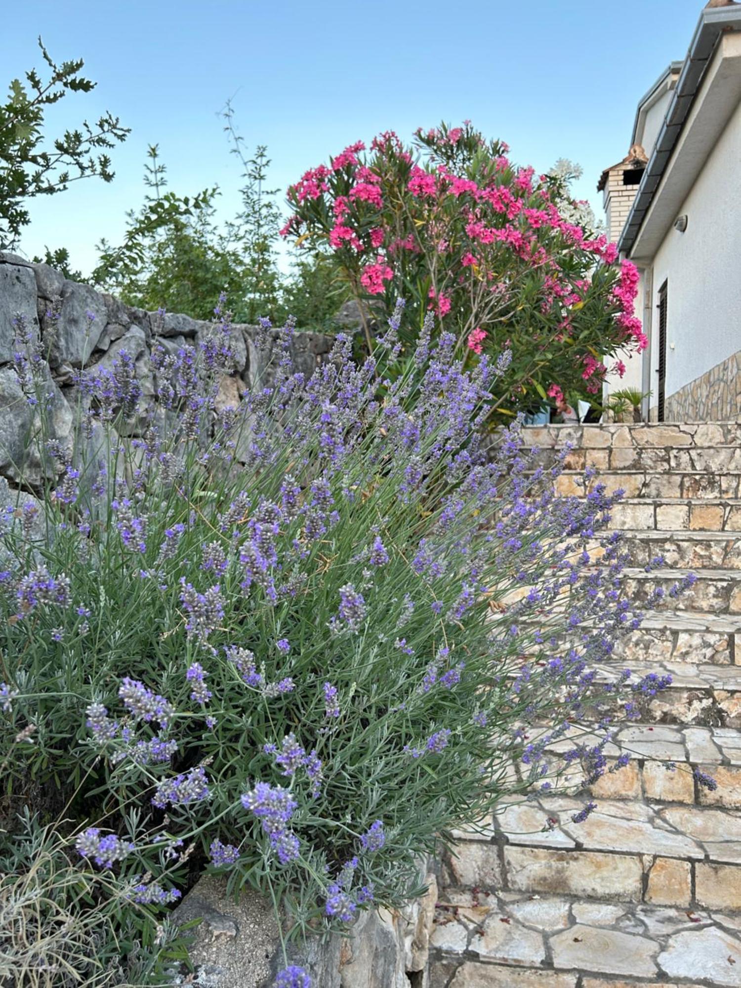 Apartments Mestrovic, Klimno, Soline Bay, Island Krk Exterior foto